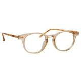 Bay Optical D-Frame in Saffron (Asian Fit)