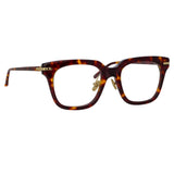 Empire Optical A D-Frame in Tortoiseshell