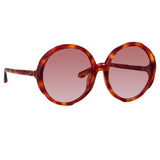 Otavia Oversized Sunglasses in Amber Tortoiseshell