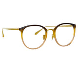 Calthorpe Oval Optical Frame in Brown Gradient