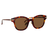 Atkins A D-Frame Sunglasses in Tortoiseshell