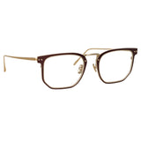 Saul D-Frame Optical Frame in Brown and Light Gold