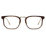 Saul D-Frame Optical Frame in Brown and Light Gold
