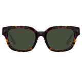 Deni D-Frame Sunglasses in Tortoiseshell